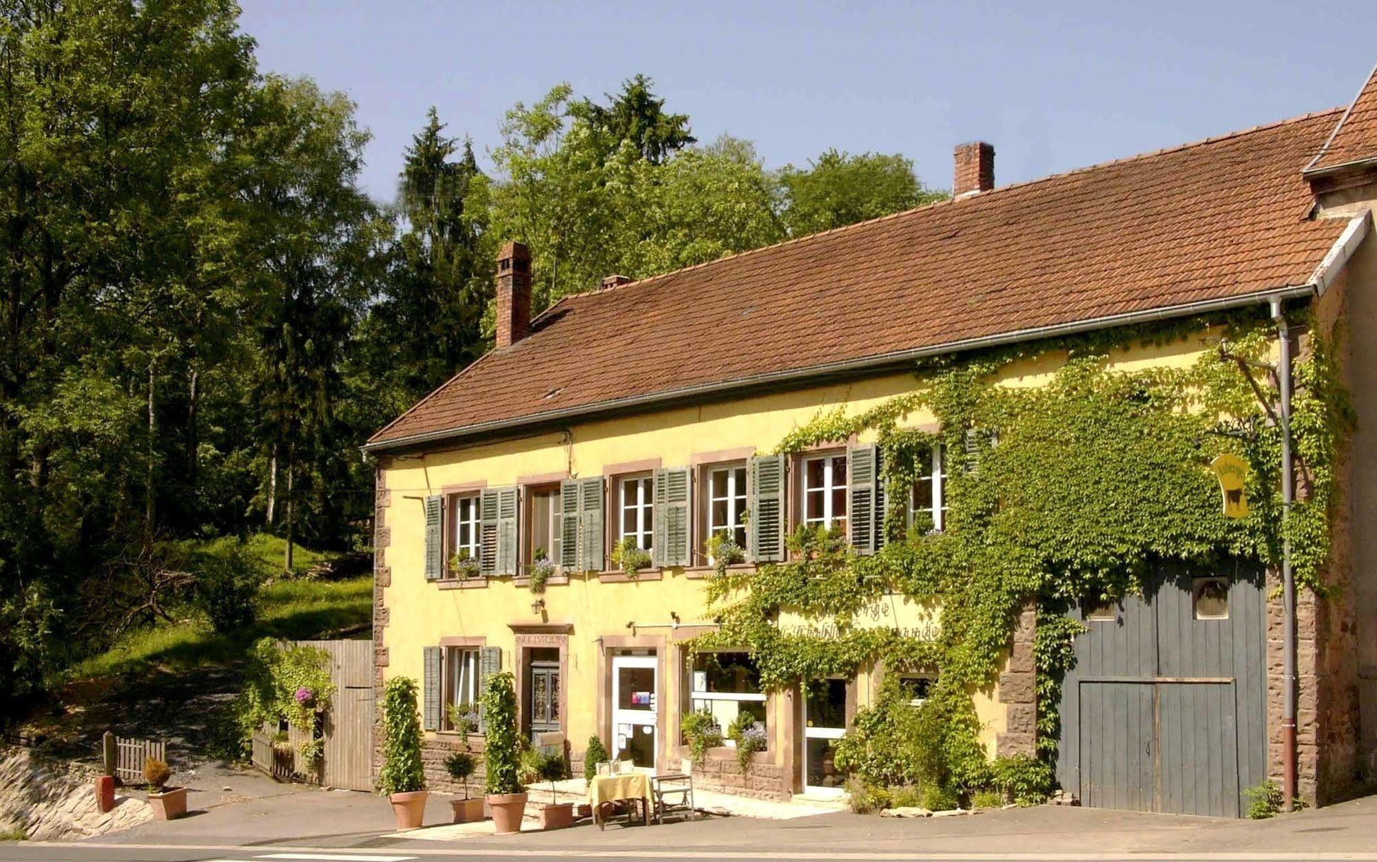 Bed and Breakfast Les Grands Frenes Plaine-de-Walsch Экстерьер фото